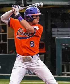 Clemson University Baseball Diamond Painting