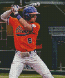 Clemson University Baseball Diamond Painting