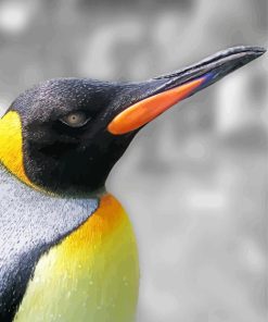 Close Up King Penguin Diamond Painting