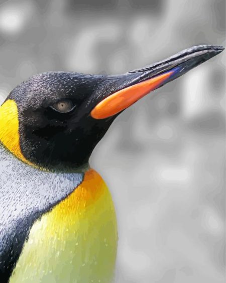 Close Up King Penguin Diamond Painting