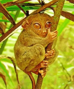 Cute Tarsier Primate Diamond Painting