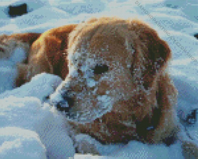 Golden Retriever Diamond Painting