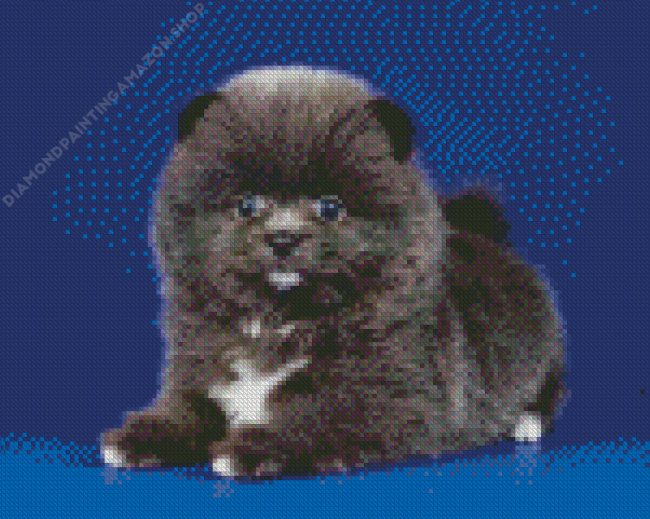 Grey Pomeranian Diamond Painting