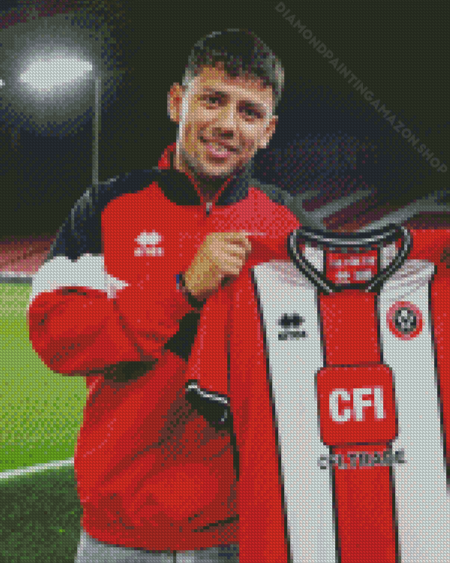 Gustavo Hamer Diamond Painting