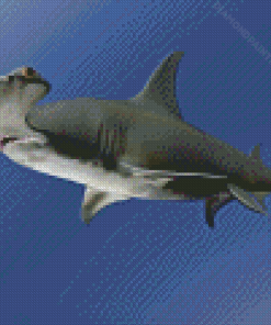 Hammerhead Shark Diamond Painting