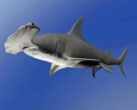 Hammerhead Shark Diamond Painting