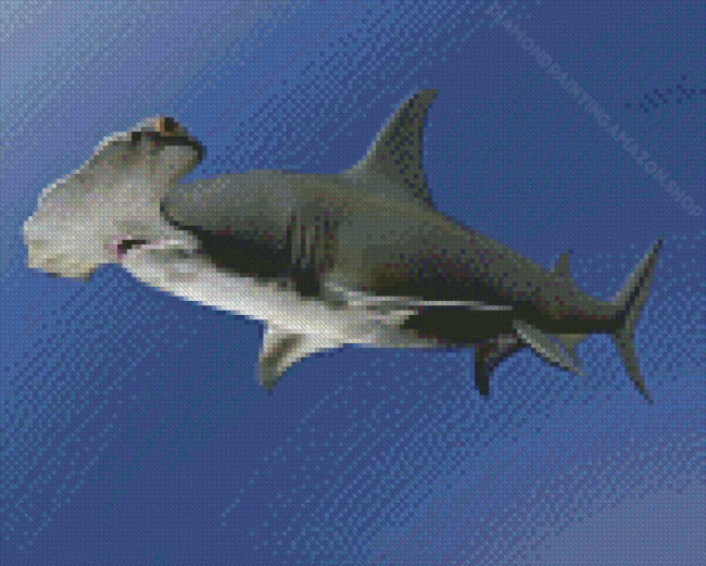 Hammerhead Shark Diamond Painting