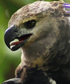 Harpy Eagle Diamond Painting