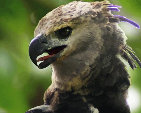 Harpy Eagle Diamond Painting