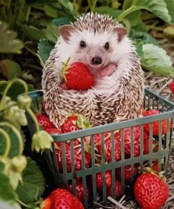 Hedgehog And Strawberries Diamond Painting