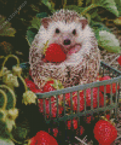 Hedgehog And Strawberries Diamond Painting