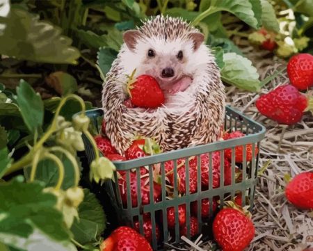 Hedgehog And Strawberries Diamond Painting