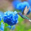 Hummingbird And Hydrangeas Diamond Painting