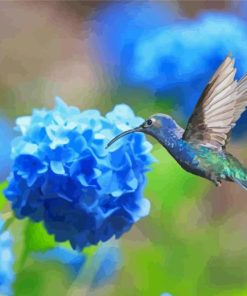 Hummingbird And Hydrangeas Diamond Painting