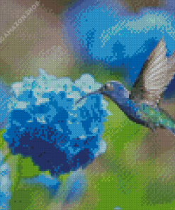 Hummingbird And Hydrangeas Diamond Painting