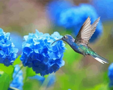 Hummingbird And Hydrangeas Diamond Painting