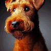 Irish Terrier Diamond Painting