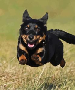 Lancashire Heeler Diamond Painting