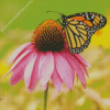 Monarch Butterfly Diamond Painting