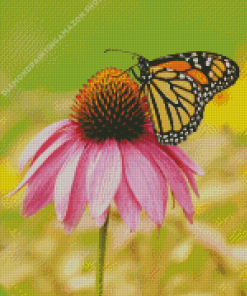 Monarch Butterfly Diamond Painting