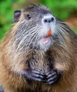 Nutria Diamond Painting