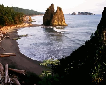 Olympic National Park Diamond Painting