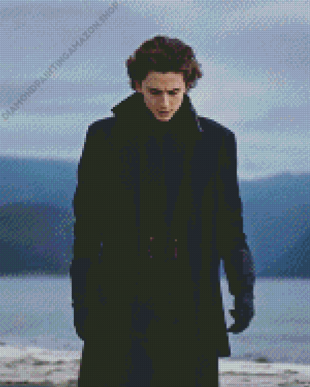 Paul Atreides Diamond Painting