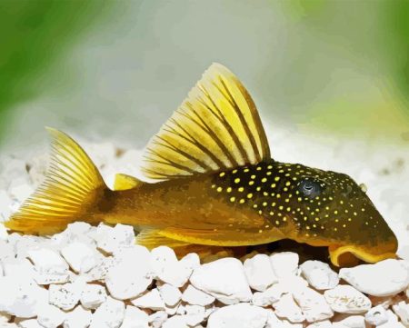 Pleco Fish Diamond Painting