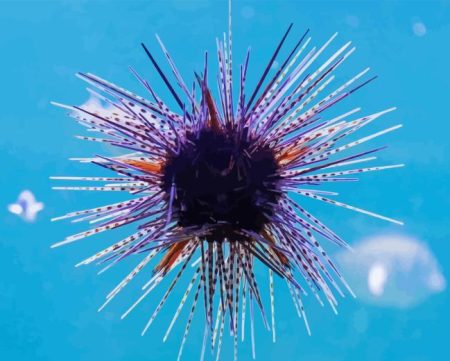 Purple Sea Urchin Diamond Painting