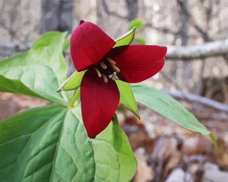 Red Trillium Diamond Painting