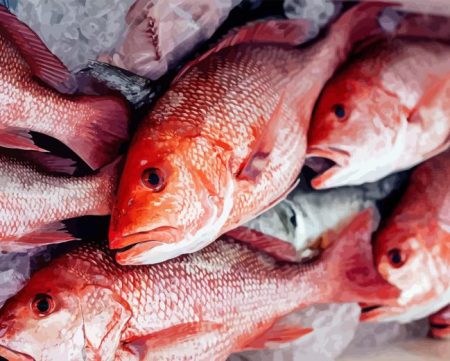 Red Snapper Fish Diamond Painting