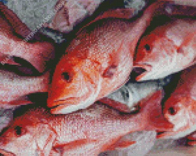 Red Snapper Fish Diamond Painting