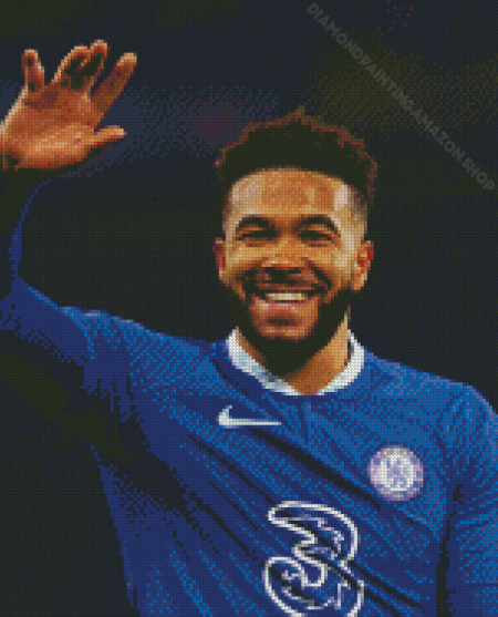 Reece James Diamond Painting