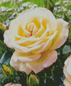 Rosa Peace Diamond Painting