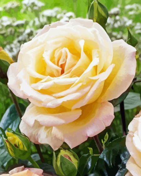 Rosa Peace Diamond Painting