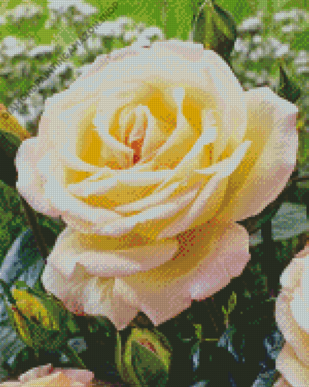 Rosa Peace Diamond Painting