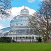 Sefton Park Palm House Diamond Painting