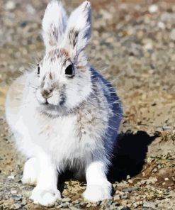 Snowshoe Hare Diamond Painting