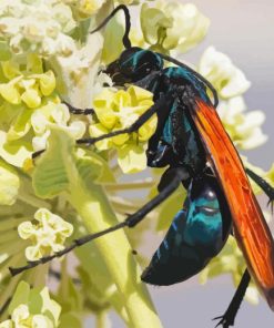 Tarantula Hawk Flower Diamond Painting