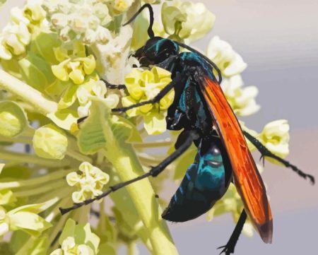 Tarantula Hawk Flower Diamond Painting