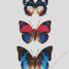 Three Butterflies Diamond Painting