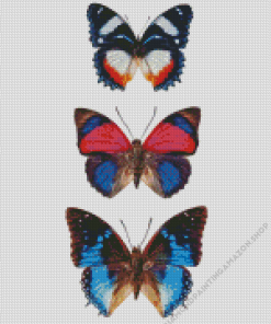 Three Butterflies Diamond Painting