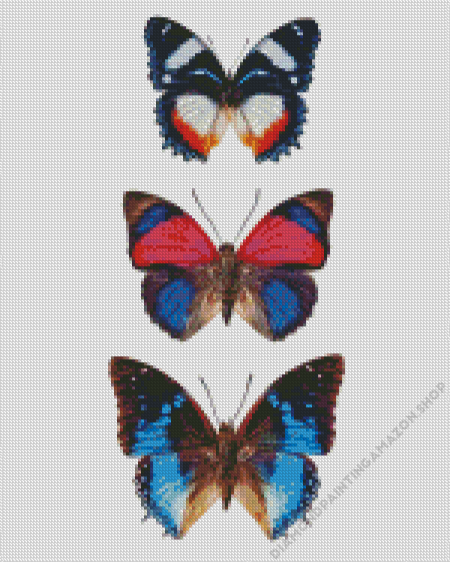 Three Butterflies Diamond Painting