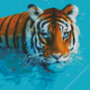 Tiger Swimming Diamond Painting