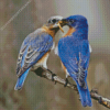 Two Blue Birds Diamond Painting