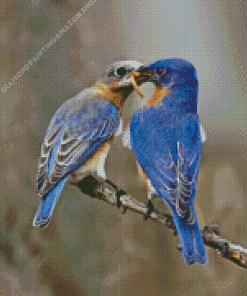 Two Blue Birds Diamond Painting