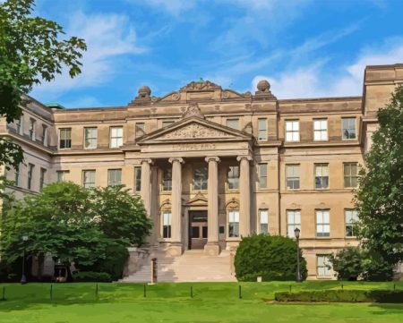 University Of Iowa Diamond Painting