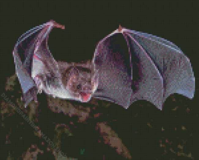 Vampire Bat Diamond Painting