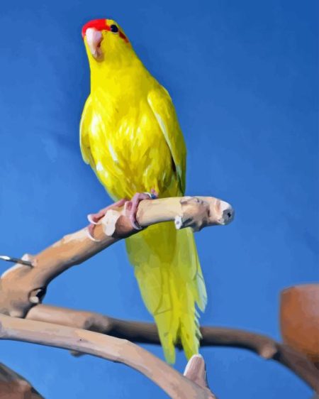 Yellow Kakariki Diamond Painting