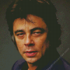 Benicio Del Toro Diamond Painting